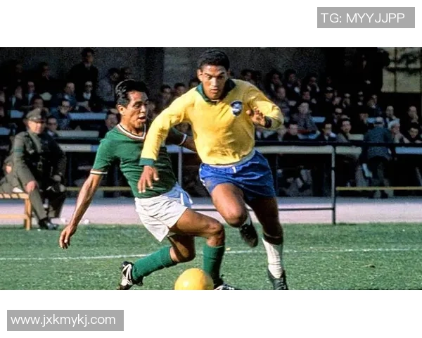 巴西足球历史十大球星排名及他们的辉煌成就分析 巴西足球历史十大球星排名及他们的辉煌成就分析