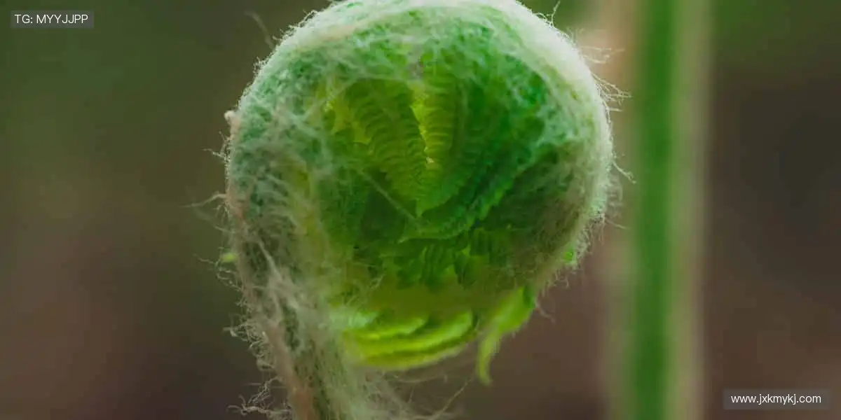 📱弹幕互动,一起狂欢!🏈 体育直播,让孤单不复存在!